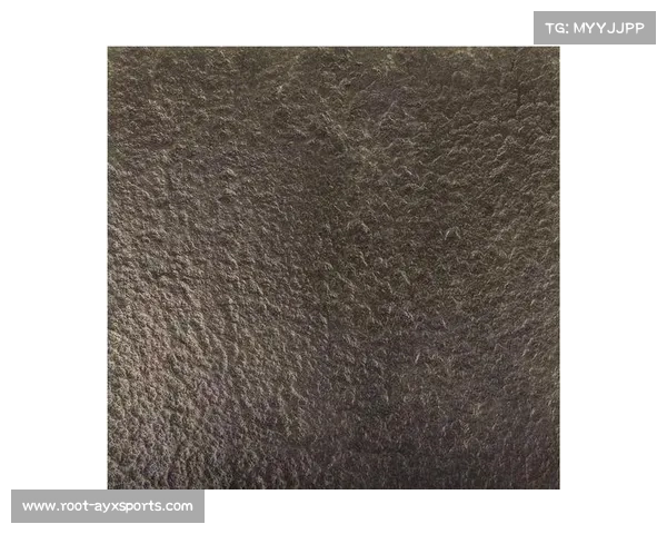 国际攀联加强版权保护 禁止仿制火山纹理岩点设计创新元素