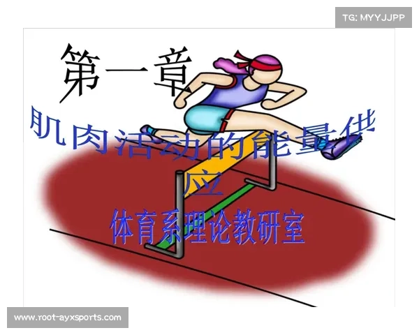 传受互动增强，用户生成内容丰富体育生态